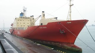 Навсегда ушедшие суда видео Сухогруз Амурская сидит на мели на побережье?. 28.10.2012