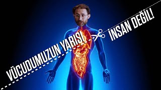 Vücudumuzun yarısından fazlası insan değil!