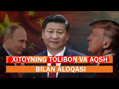 Video: SFO xalqaro terminali qaysi?