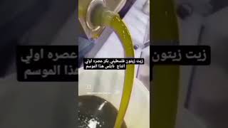 زيت_زيتون _فلسطيني بكر عصره اولي انتاج نابلس