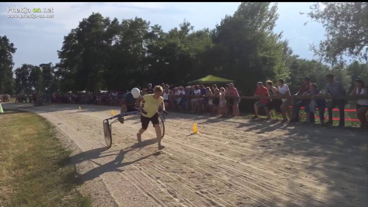 Bitka kujskih parov na kasaških dirkah v Križevcih