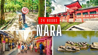 24 Hours In Nara (Nara One Day Trip Itinerary)
