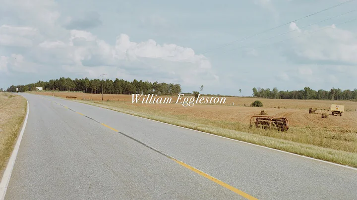 The Photography of William Eggleston