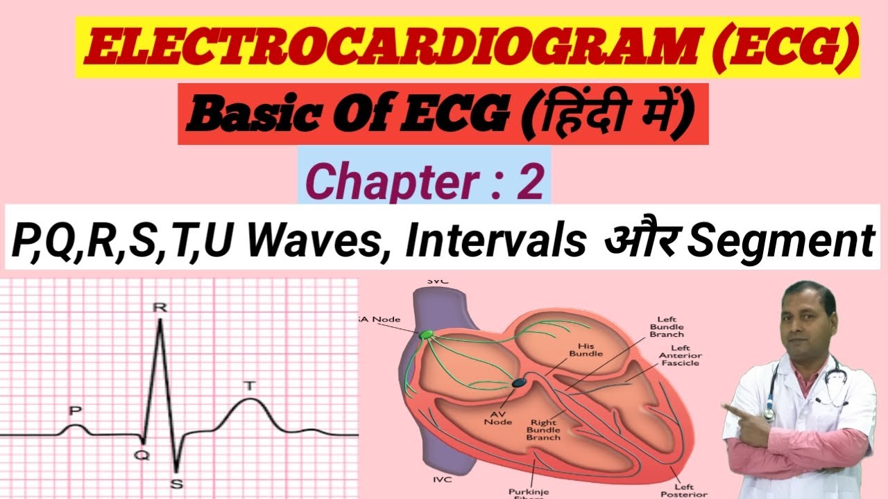 pqrstu-waves-of-ecg-in-hindi-cardiac-conduction-system