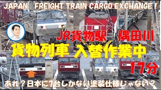 貨物列車　JR貨物駅　レア！日本に7台しかない金太郎　塗装仕様も収録！隅田川駅　電気機関車　貨物入替作業中　17分　JAPANEASE FREIGHT TRAIN STATION EXCHANGE