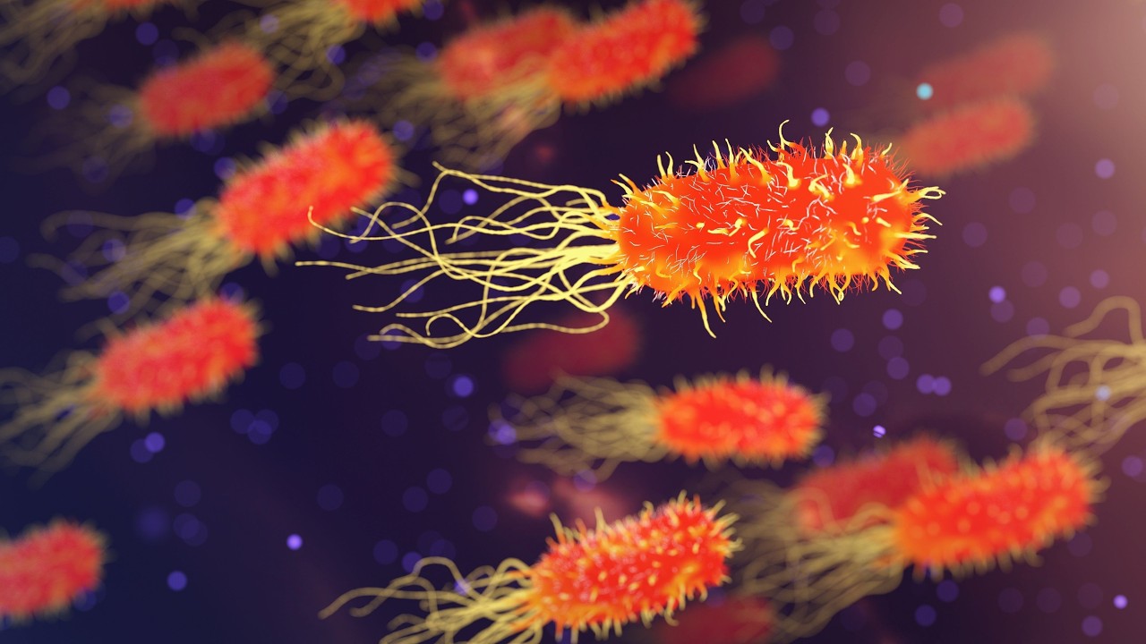 World Sepsis Day 2026: Beware The Great Impostor