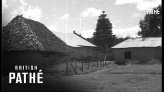 Selected Originals - Mau Mau - Lari Massacre Trial (1953)