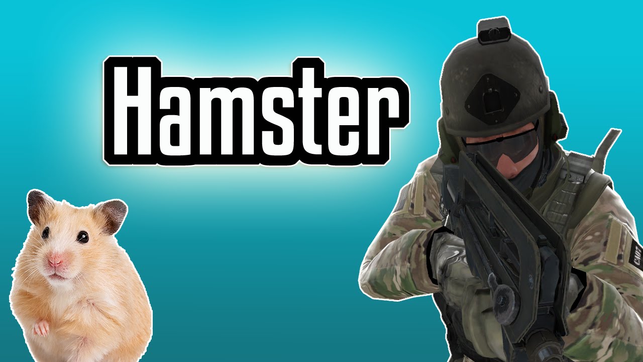 Hamster! CSGO Funny Moments - YouTube