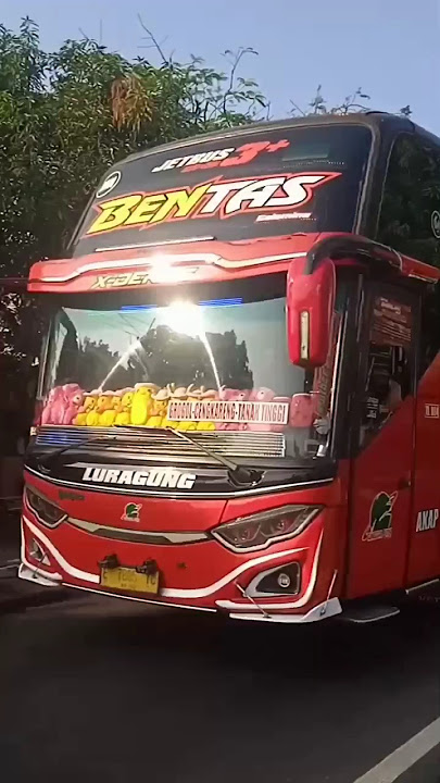 BENTAS TJ #basuri #foryou #viral DAV HUNTING WITH @PESONABEBERSTYLE