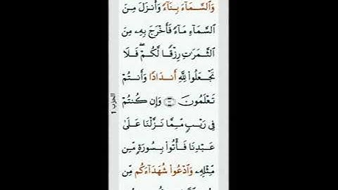 كل يوم صفحه من القرآن الكريم تملأ القلب ربيعاً مرحبا بكم في رحاب الرحمن