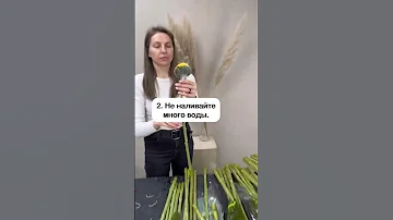 КАК УХАЖИВАТЬ ЗА ПОДСОЛНУХАМИ #shorts