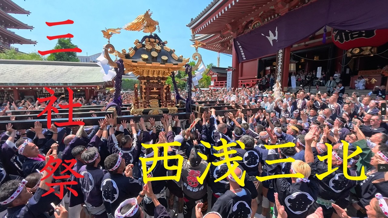 速報!西浅三北(丸金高橋組)【4K】三社祭 2026 圧巻の巨大神輿!氏子 速報!西浅三北(丸金高橋組)【4K】三社祭 2026 圧巻の巨大神輿!氏子