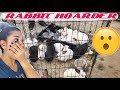 VISITING A RABBIT HOARDING SITUATION!!! *SHOCKING*