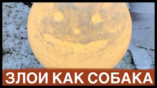 БРОСИЛ ПИТЬ СТАЛ ЗЛЫМ КАК СОБАКА! ЧТО ТЕПЕРЬ ДЕЛАТЬ