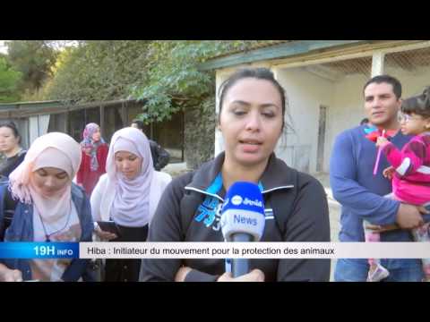 Le parc zoologique de Ben Aknoun transformé en mouroir, 19H INFO de Moncef Aït-Kaci