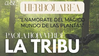 Iniciación a la Herbolarea
Iniciación a la Herbolarea Iniciación a la Herbolarea