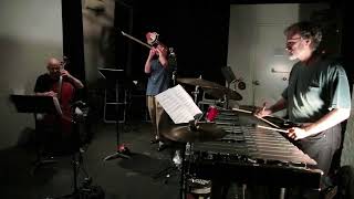 Kevin Norton, Erik Friedlander, and Peter Zummo - MoD (by Erik Friedlander)