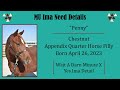 SOLD! MU Ima Need Details – 2023 Appendix AQHA Filly – Training Highlight