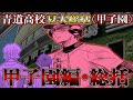 【ダイヤのAact2】青道•甲子園総括！3回戦途中で終わりましたが野手•投手陣『好調』またモデルにした『大会』が判明！？3回戦の対戦相手は山…
