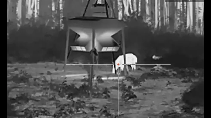 Is 22LR ENOUGH FOR HOGS 🤨?? Find out soon…