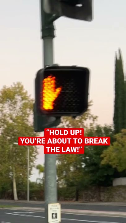 JAYWALKING Gone Wrong! Law By Mike #Shorts #Law #TikTok #Walk #LegalTips