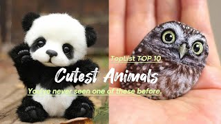 TOP10 Baby Animals You'll See for the First Time in Your Life