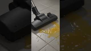 Vacuum Cleaner