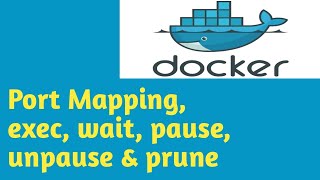 Port mapping, exec,attach, wait, pause, unpause & prune | #6 | Docker Tutorial in Hindi