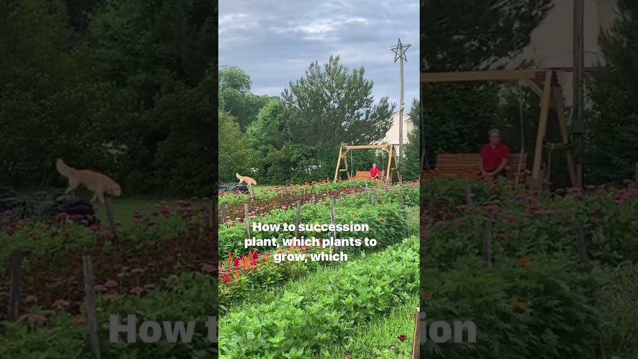 Get the “Cool Flowers Zone Guide” download immediately with preorders! Comment BOOK in IG or FB and