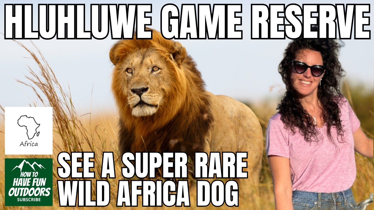 Hluhluwe Game Reserve | The Oldest Game Park in Africa with Rare African Dogs