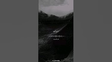 سورة النمل للقارئ الشيخ ياسر الدوسري #قرآن #الهلال #قران_كريم #اكسبلور #ياسر_الدوسري #الهلال_النصر