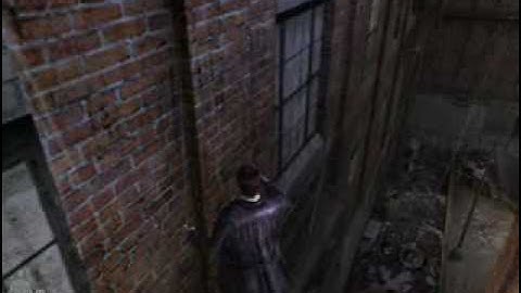 MaxPayne 2 VMWare DX 9.0c acceleration