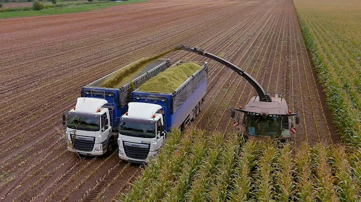 Mais 2021 : BLACK John Deere 9700I / Xerion 4200 /...