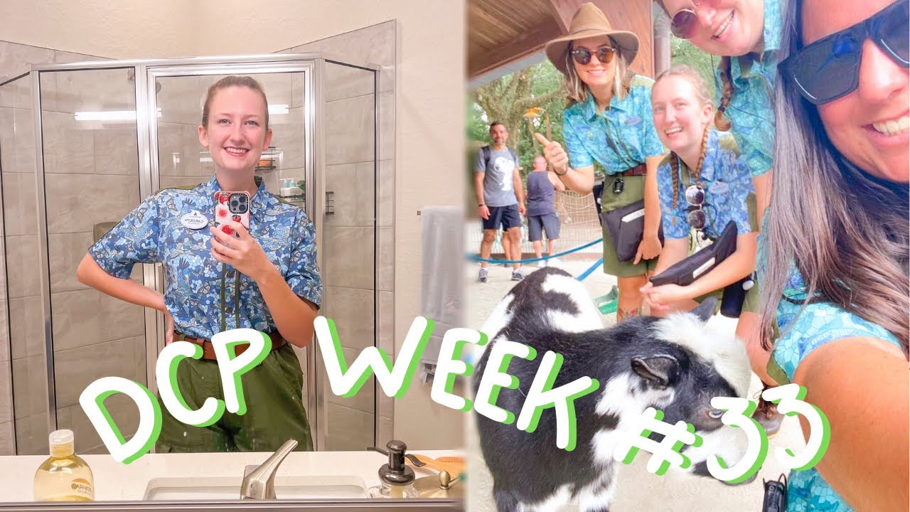 обучение работе на новом бонусном аттракционе + обучение вождению дикого экспресса ✩ DCP осень 2023