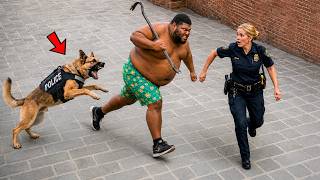 🔥 Craziest Police K9 Takedowns Caught on Camera | Instant Karma #6