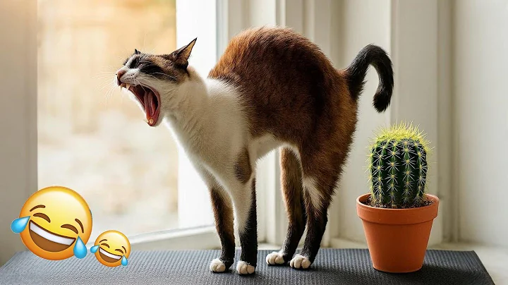 Watch the video about Funniest Animals 2025 🤣😅 New Funny Cats Videos 😸Part1...#cat #funnycat #viralcats