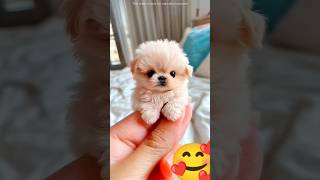 #trending #amazingfacts #didyouknow #funny #comedy #pets #short