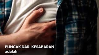 Download lagu status whatsapp kata mutiara bijak hadist dan ayat Al Quran status whatsapp kata mutiara bijak hadist dan ayat Al Quran
