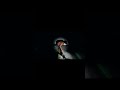 #shorts  Танцы в Phasmophobia