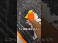 塗装を剥がす方法