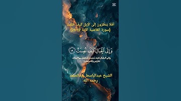 أَفَلَا يَنظُرُونَ إِلَى الْإِبِلِ كَيْفَ خُلِقَتْ (سورة الغاشية الآية 17-21)