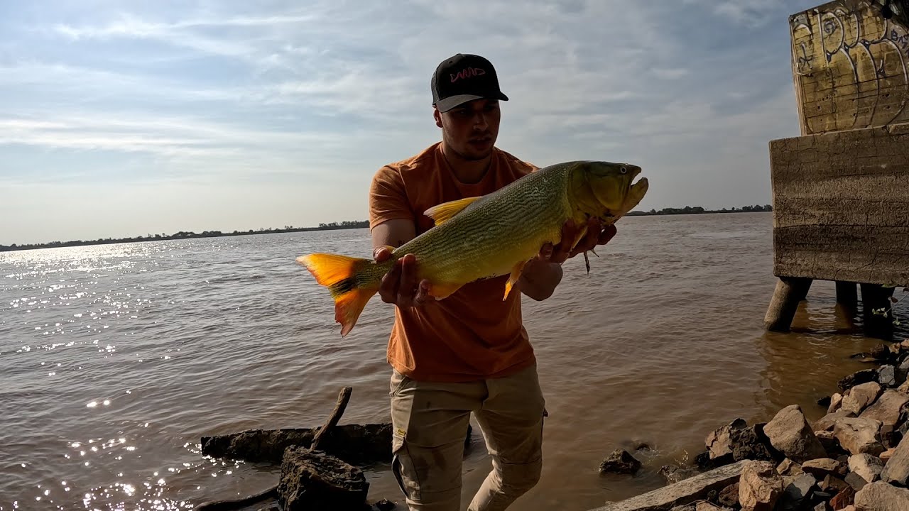 PESCA de DORADOS con BOYA en el PARANÁ!!!