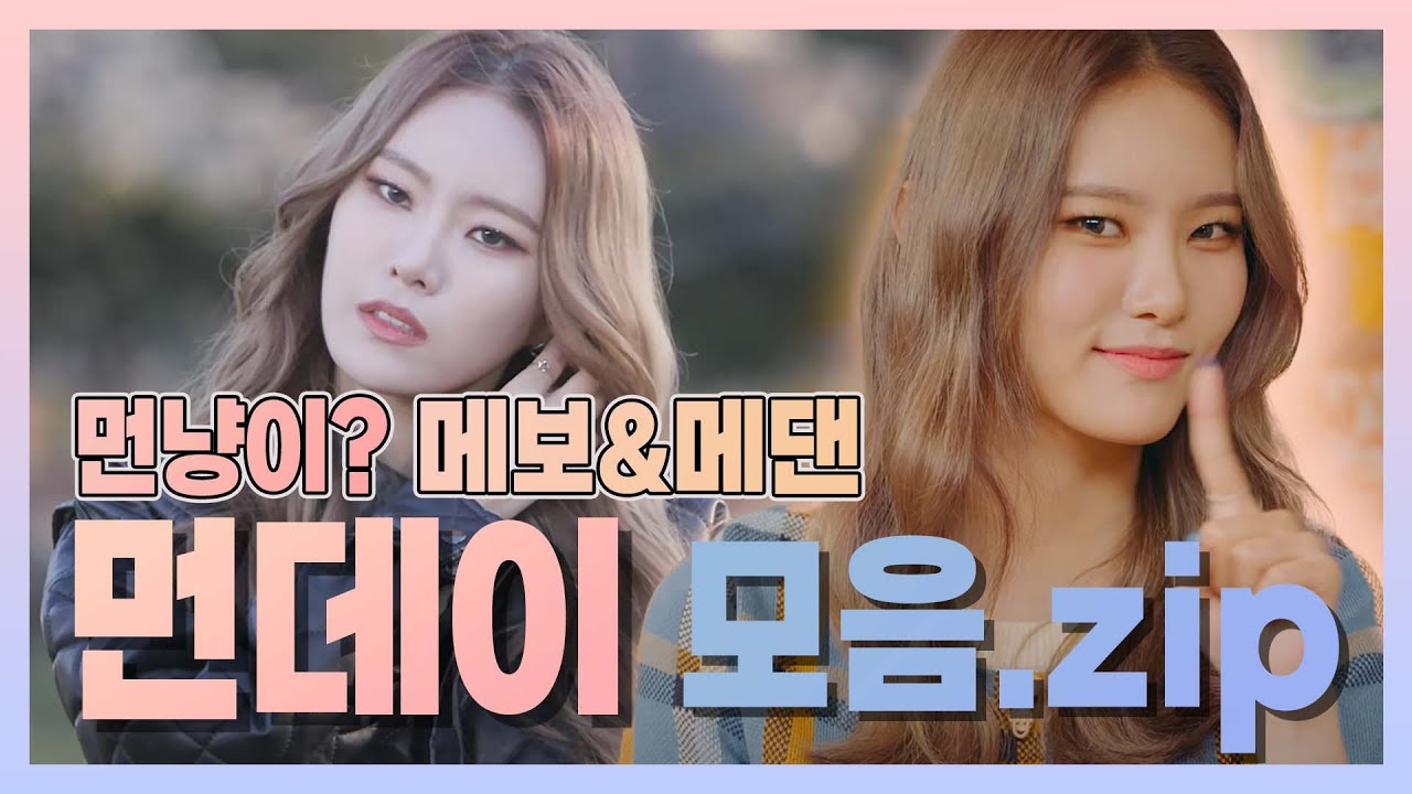 [위클리] ★입덕영상★ㅣ위클리 사기캐! 먼데이의 매력을 알아보자