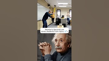 🧠🔨 How to Survive a Sledgehammer (With Science)