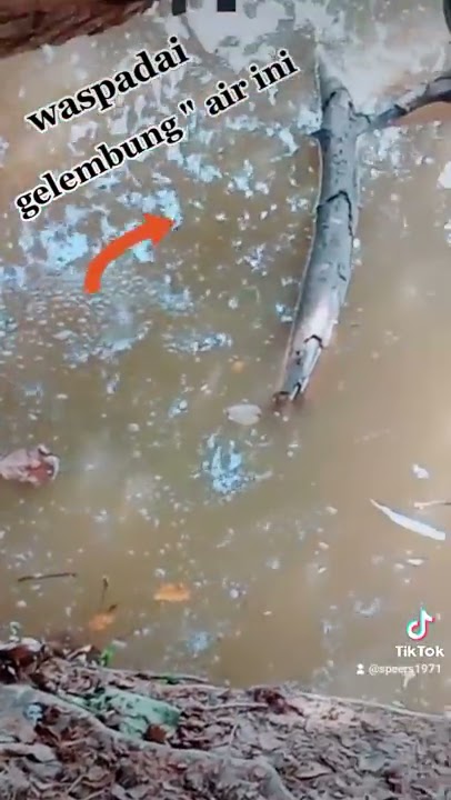 how to detect predator hiding