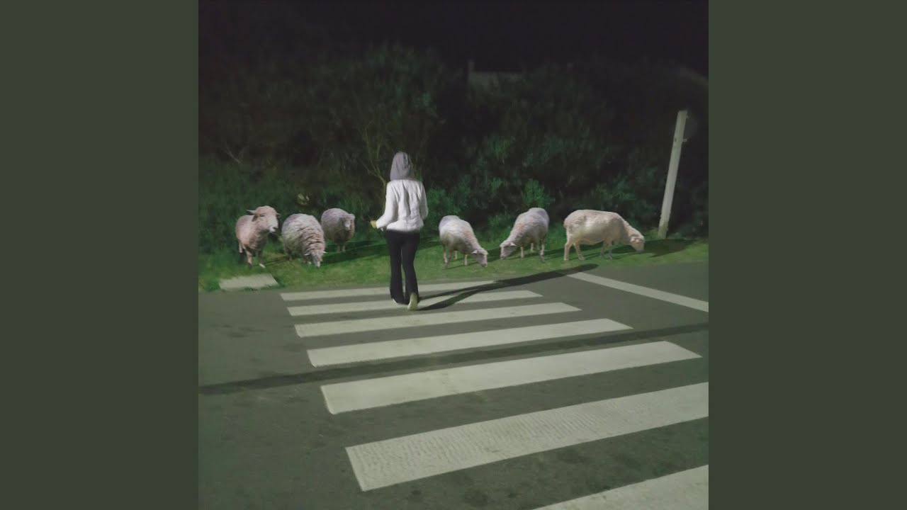 Efecto rebaño - YouTube