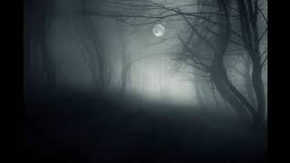 Cinematic Vocal Horror | Haunting Female Voice and Orchestra | Background Music