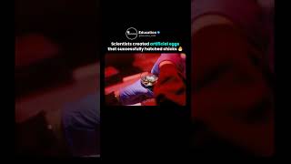 Future of Artificial Egg Technology