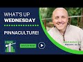 Definition of Pinnaculture