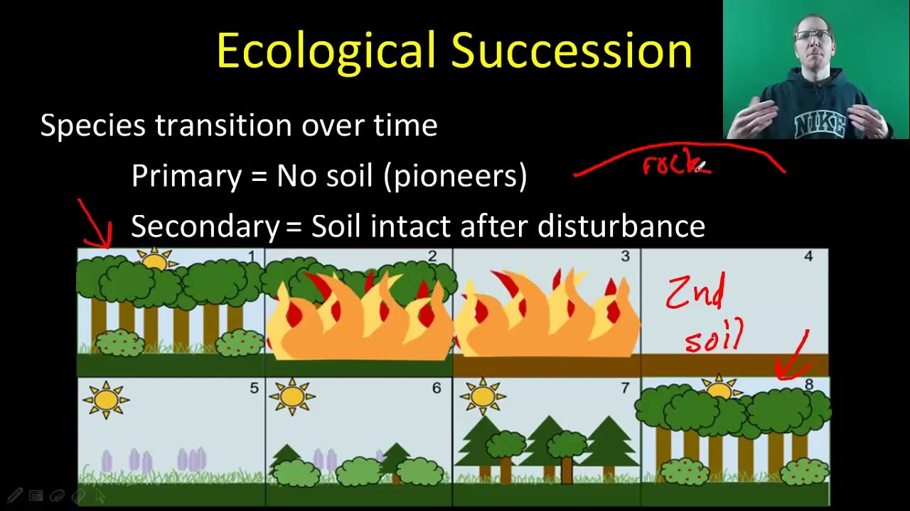 AP Bio: Community Ecology - Part 2